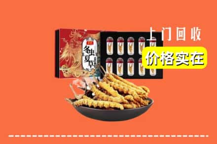 朔州市右玉回收冬虫夏草